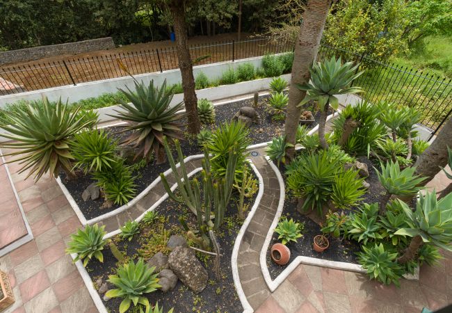 Casa en Teror - Beautiful Rural Home - BBQ - Garden - Parking Casa en Teror - Beautiful Rural Home - BBQ - Garden - Parking