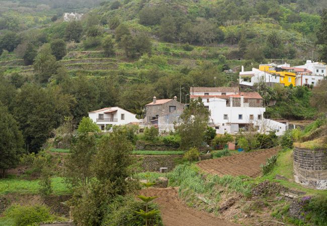 Casa en Teror - Beautiful Rural Home - BBQ - Garden - Parking Casa en Teror - Beautiful Rural Home - BBQ - Garden - Parking