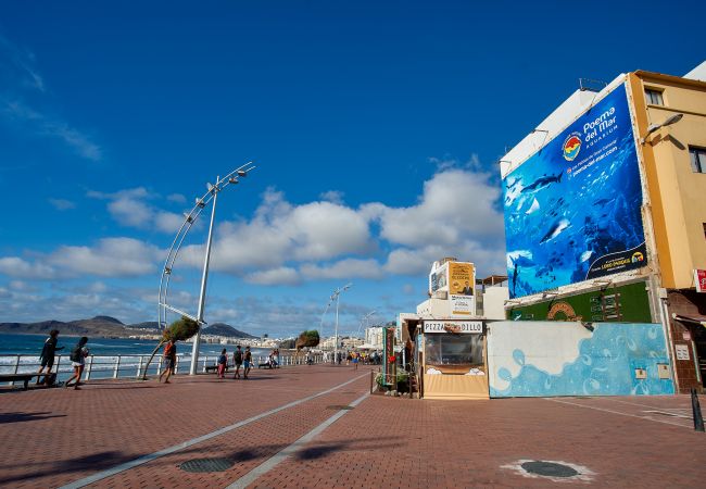 Apartamento en Las Palmas de Gran Canaria - Premium 3BR Flat at Las Canteras Beach - Jacuzzi - Apartamento en Las Palmas de Gran Canaria - Premium 3BR Flat at Las Canteras Beach - Jacuzzi -