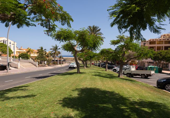 Apartamento en Morro Jable - 3BR Home - 5 min walk to Jandía Beach Apartamento en Morro Jable - 3BR Home - 5 min walk to Jandía Beach