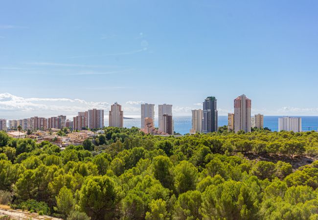 Apartamento en Benidorm - Amazing Benidorm Views 2BR Flat - Pool - Parking Apartamento en Benidorm - Amazing Benidorm Views 2BR Flat - Pool - Parking