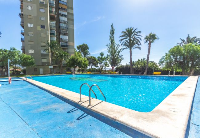 Apartamento en Benidorm - Amazing Benidorm Views 2BR Flat - Pool - Parking Apartamento en Benidorm - Amazing Benidorm Views 2BR Flat - Pool - Parking