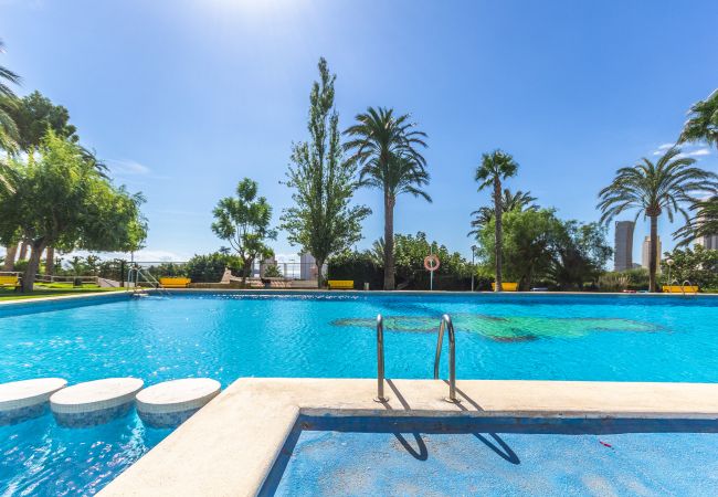 Apartamento en Benidorm - Amazing Benidorm Views 2BR Flat - Pool - Parking Apartamento en Benidorm - Amazing Benidorm Views 2BR Flat - Pool - Parking