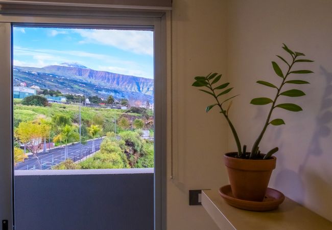 Apartamento en La Orotava - 3BR Home - Teide Views Balcony - Wifi Apartamento en La Orotava - 3BR Home - Teide Views Balcony - Wifi