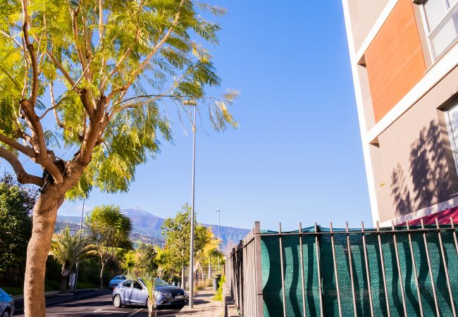 Apartamento en La Orotava - 3BR Home - Teide Views Balcony - Wifi Apartamento en La Orotava - 3BR Home - Teide Views Balcony - Wifi