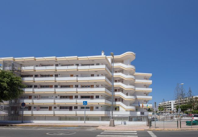Apartamento en San Bartolomé de Tirajana - Complejo Aloe - Pool - close to Maspalomas Beach Apartamento en San Bartolomé de Tirajana - Complejo Aloe - Pool - close to Maspalomas Beach