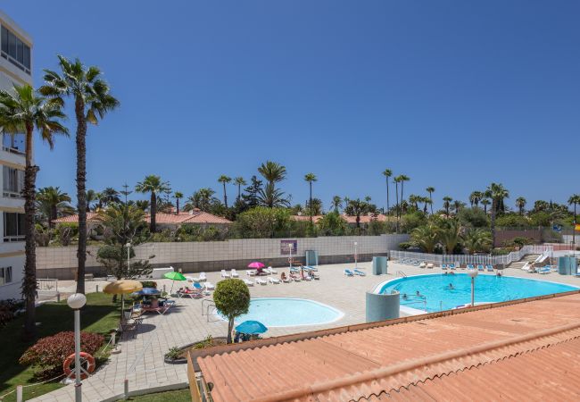 Apartamento en San Bartolomé de Tirajana - Complejo Aloe - Pool - close to Maspalomas Beach Apartamento en San Bartolomé de Tirajana - Complejo Aloe - Pool - close to Maspalomas Beach