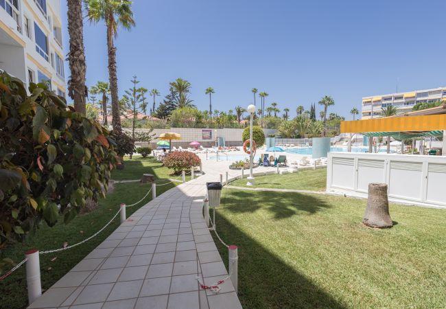 Apartamento en San Bartolomé de Tirajana - Complejo Aloe - Pool - close to Maspalomas Beach Apartamento en San Bartolomé de Tirajana - Complejo Aloe - Pool - close to Maspalomas Beach