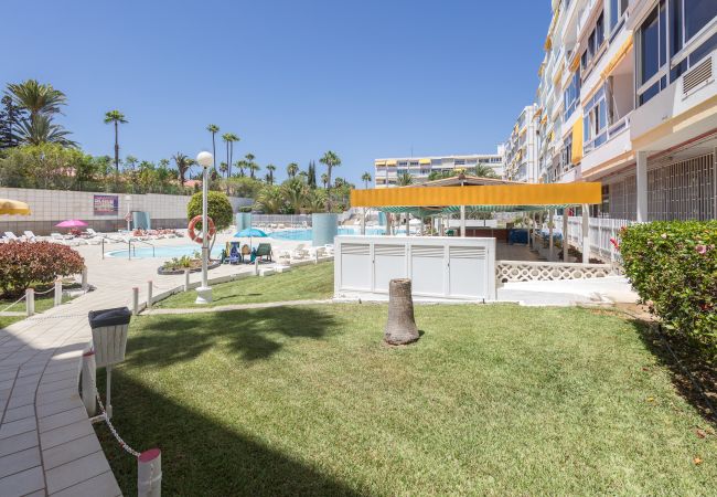 Apartamento en San Bartolomé de Tirajana - Complejo Aloe - Pool - close to Maspalomas Beach Apartamento en San Bartolomé de Tirajana - Complejo Aloe - Pool - close to Maspalomas Beach