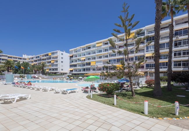 Apartamento en San Bartolomé de Tirajana - Complejo Aloe - Pool - close to Maspalomas Beach Apartamento en San Bartolomé de Tirajana - Complejo Aloe - Pool - close to Maspalomas Beach