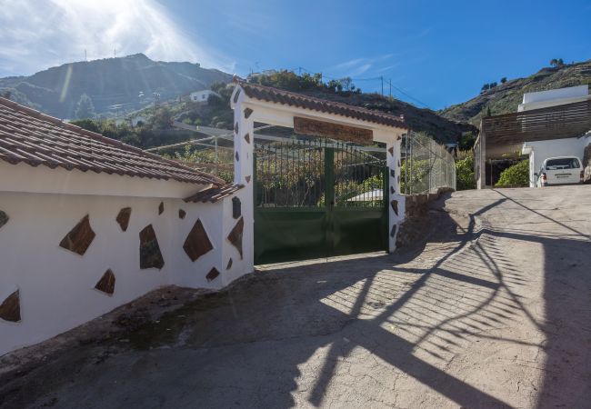 Casa en Vega de San Mateo - Casa Abuela - House in the countryside with pool Casa en Vega de San Mateo - Casa Abuela - House in the countryside with pool