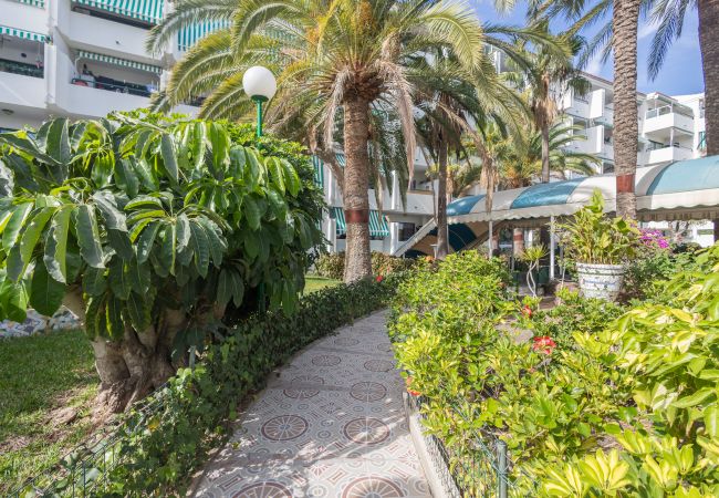 Apartamento en San Bartolomé de Tirajana - Floral Home - Large Private Terrace with Pool Apartamento en San Bartolomé de Tirajana - Floral Home - Large Private Terrace with Pool