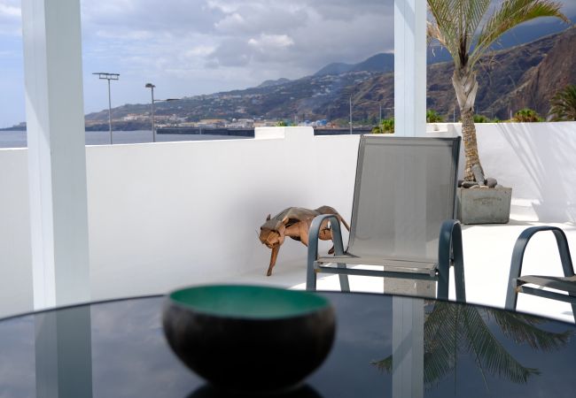 Casa en Santa Cruz de la Palma - Rooftop Dreamhouse - 3BR with Seaviews Casa en Santa Cruz de la Palma - Rooftop Dreamhouse - 3BR with Seaviews
