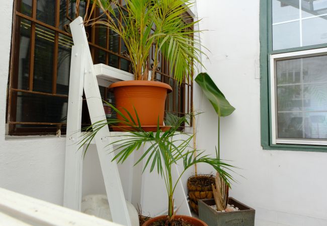 Casa en Santa Cruz de la Palma - Rooftop Dreamhouse - 3BR with Seaviews Casa en Santa Cruz de la Palma - Rooftop Dreamhouse - 3BR with Seaviews