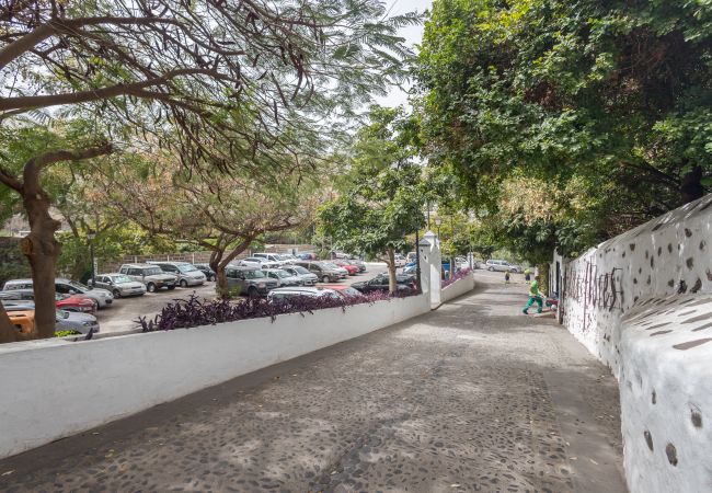 Casa rural en Agaete - Agaete Botanic - Rooftop Solarium Casa rural en Agaete - Agaete Botanic - Rooftop Solarium