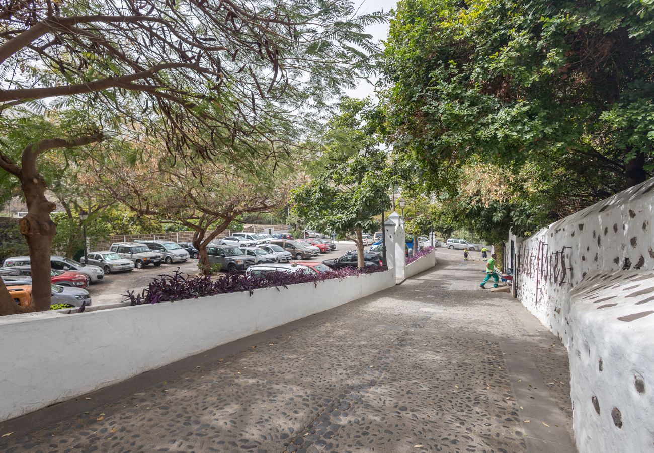 Casa rural en Agaete - Agaete Botanic - Rooftop Solarium Casa rural en Agaete - Agaete Botanic - Rooftop Solarium