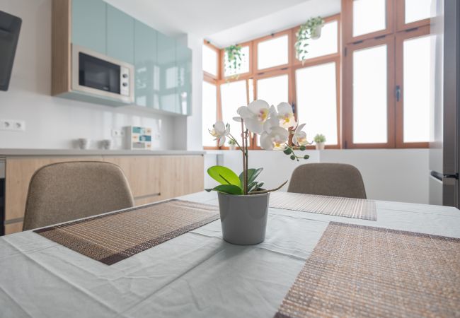 Casa en Las Palmas de Gran Canaria - Vegueta Cool Flat - 2BR - Workfriendly Casa en Las Palmas de Gran Canaria - Vegueta Cool Flat - 2BR - Workfriendly