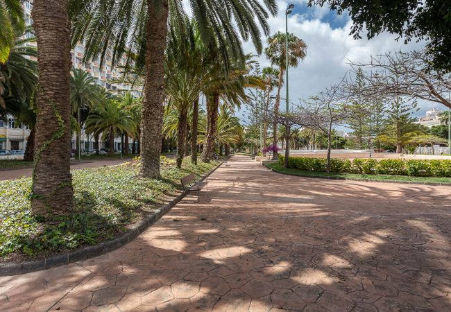 Alquiler por habitaciones en Las Palmas de Gran Canaria - Coliving Mol-Terrace, Private TV & Fridge - 1 Alquiler por habitaciones en Las Palmas de Gran Canaria - Coliving Mol-Terrace, Private TV & Fridge - 1