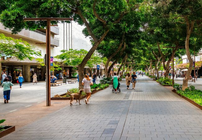 Apartamento en Las Palmas de Gran Canaria - Cozy Mesa Y López Home& Courtyard 5' Las Canteras Apartamento en Las Palmas de Gran Canaria - Cozy Mesa Y López Home& Courtyard 5' Las Canteras