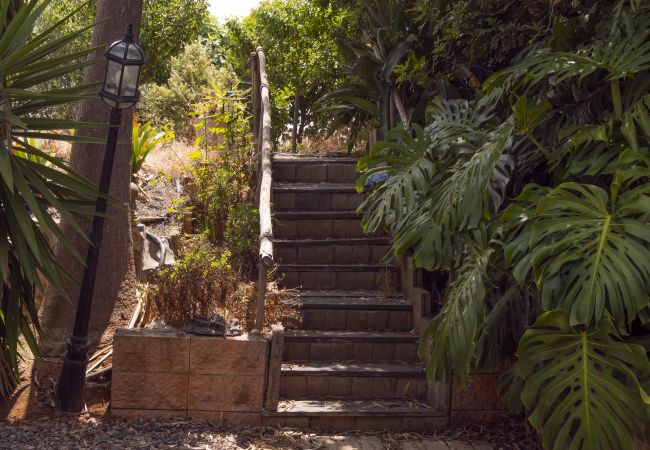 Casa en Santa María de Guía - 6BR Fire House Sanctuary-Terrace & Barbacue Casa en Santa María de Guía - 6BR Fire House Sanctuary-Terrace & Barbacue