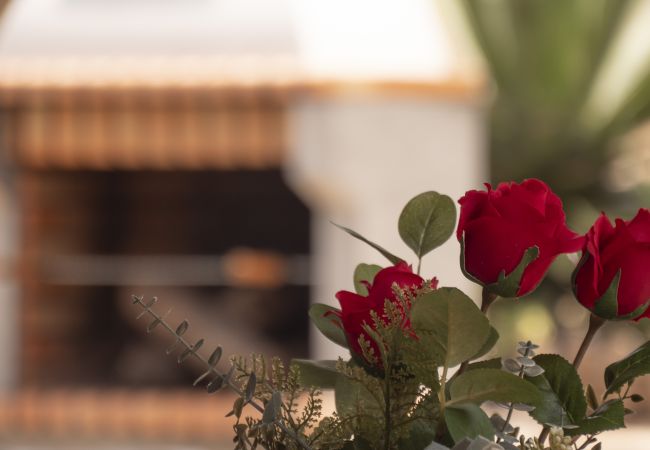 Casa en Santa María de Guía - 6BR Fire House Sanctuary-Terrace & Barbacue Casa en Santa María de Guía - 6BR Fire House Sanctuary-Terrace & Barbacue