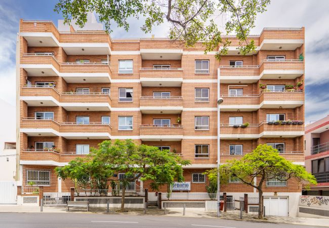 Alquiler por habitaciones en Santa Cruz de Tenerife - Living Sol - Centric Urban Room 1 Alquiler por habitaciones en Santa Cruz de Tenerife - Living Sol - Centric Urban Room 1