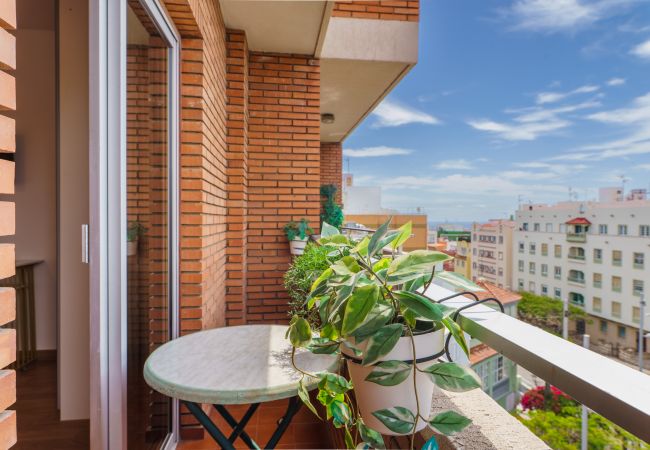 Alquiler por habitaciones en Santa Cruz de Tenerife - Living Sol - Centric Urban Room 1 Alquiler por habitaciones en Santa Cruz de Tenerife - Living Sol - Centric Urban Room 1