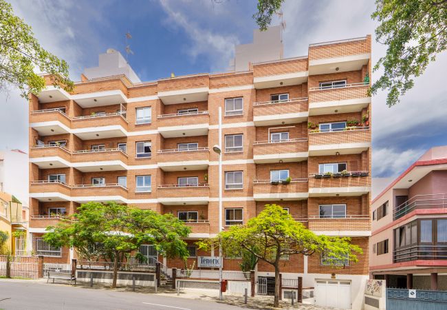 Alquiler por habitaciones en Santa Cruz de Tenerife - Living Sol - Centric Urban Room 4 Alquiler por habitaciones en Santa Cruz de Tenerife - Living Sol - Centric Urban Room 4