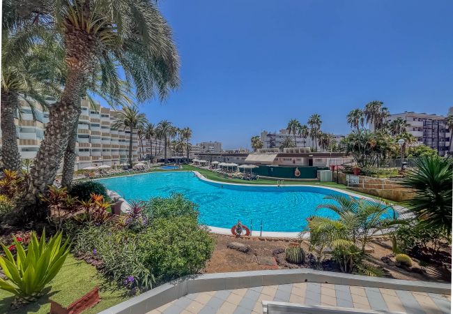 Apartamento en Playa del Ingles - KOKA Central Flat Playa Inglés-Pool & Views Apartamento en Playa del Ingles - KOKA Central Flat Playa Inglés-Pool & Views