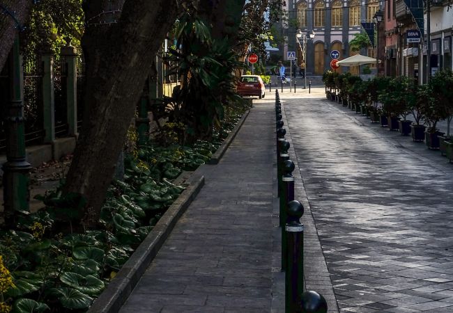 Apartment in Arucas - Balcony Spacious 2BR Historic Centre Arucas Apartment in Arucas - Balcony Spacious 2BR Historic Centre Arucas