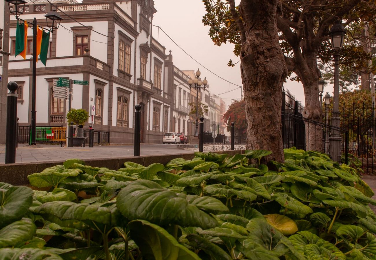 Apartment in Arucas - Balcony Spacious 2BR Historic Centre Arucas Apartment in Arucas - Balcony Spacious 2BR Historic Centre Arucas