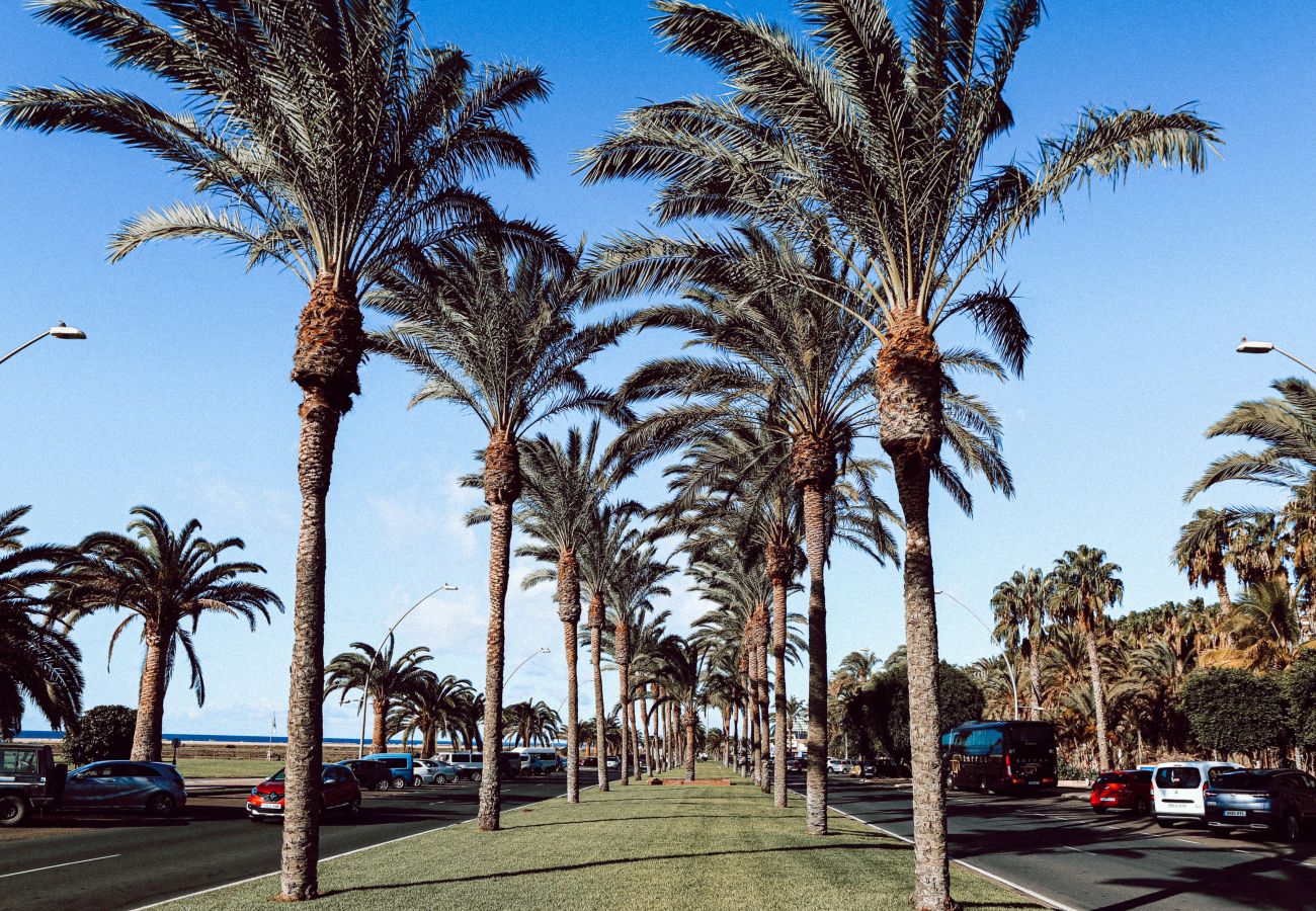 Apartment in Morro Jable - 3BR Home - 5 min walk to Jandía Beach