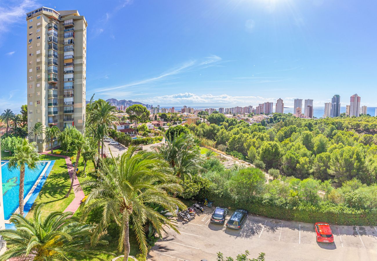Apartment in Benidorm - Amazing Benidorm Views 2BR Flat - Pool - Parking Apartment in Benidorm - Amazing Benidorm Views 2BR Flat - Pool - Parking
