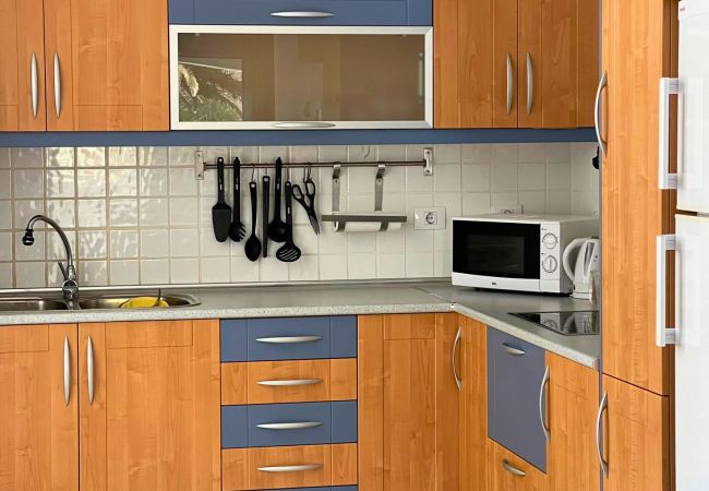 Apartment in Agaete - 2BR Home - 3 min to Agaete Beach - Pool Apartment in Agaete - 2BR Home - 3 min to Agaete Beach - Pool