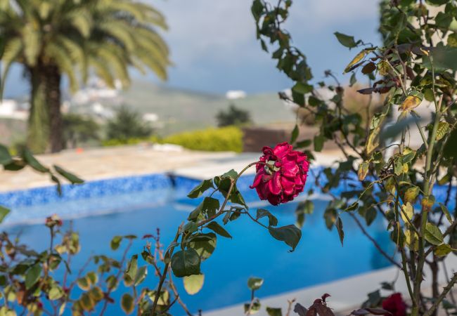 Cottage in Santa María de Guía - Los Paredones Farm - Private Pool - Garden Cottage in Santa María de Guía - Los Paredones Farm - Private Pool - Garden