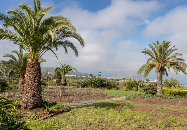 Cottage in Santa María de Guía - Los Paredones Farm - Private Pool - Garden Cottage in Santa María de Guía - Los Paredones Farm - Private Pool - Garden