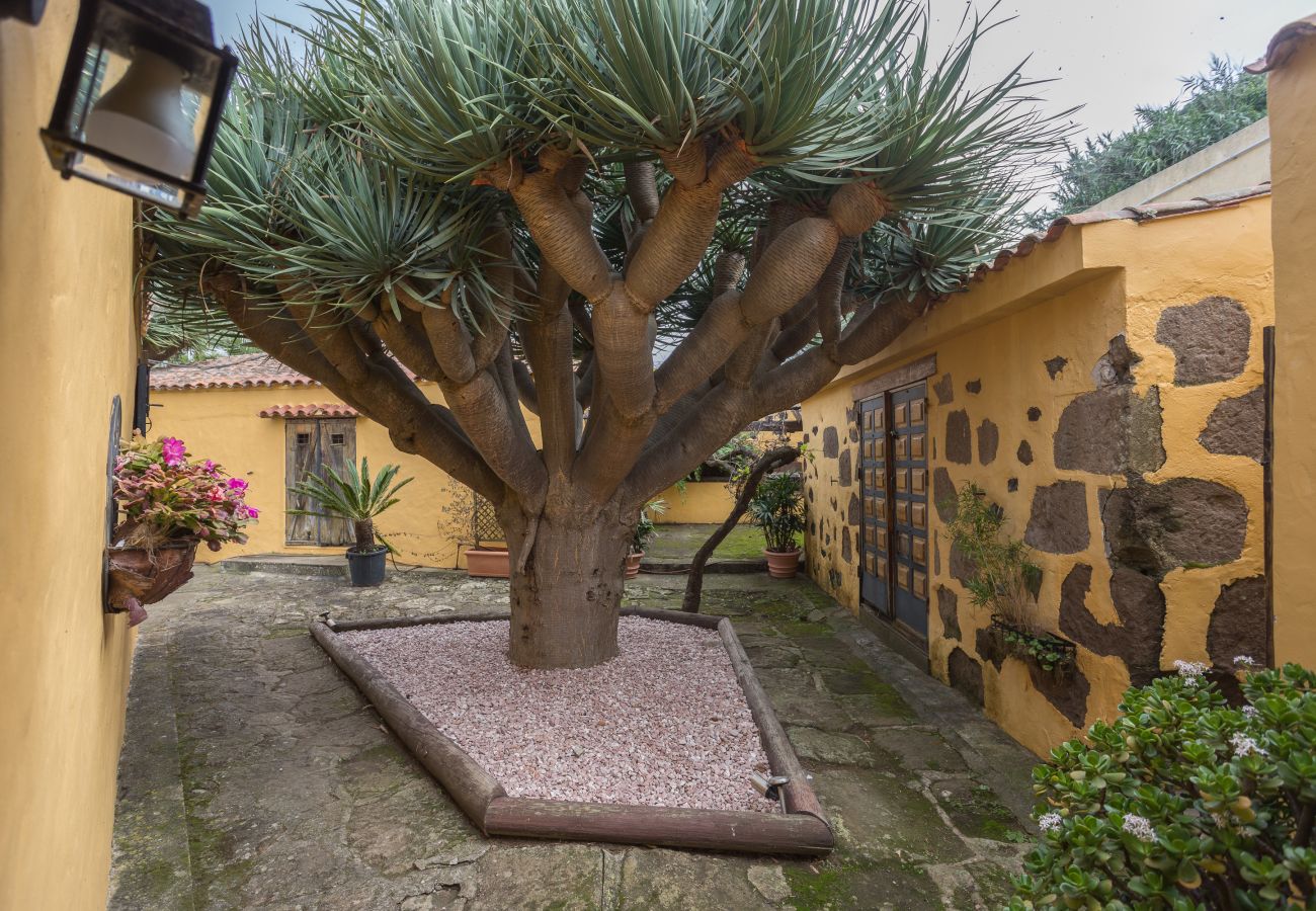 Cottage in Santa María de Guía - Los Paredones Farm - Private Pool - Garden Cottage in Santa María de Guía - Los Paredones Farm - Private Pool - Garden
