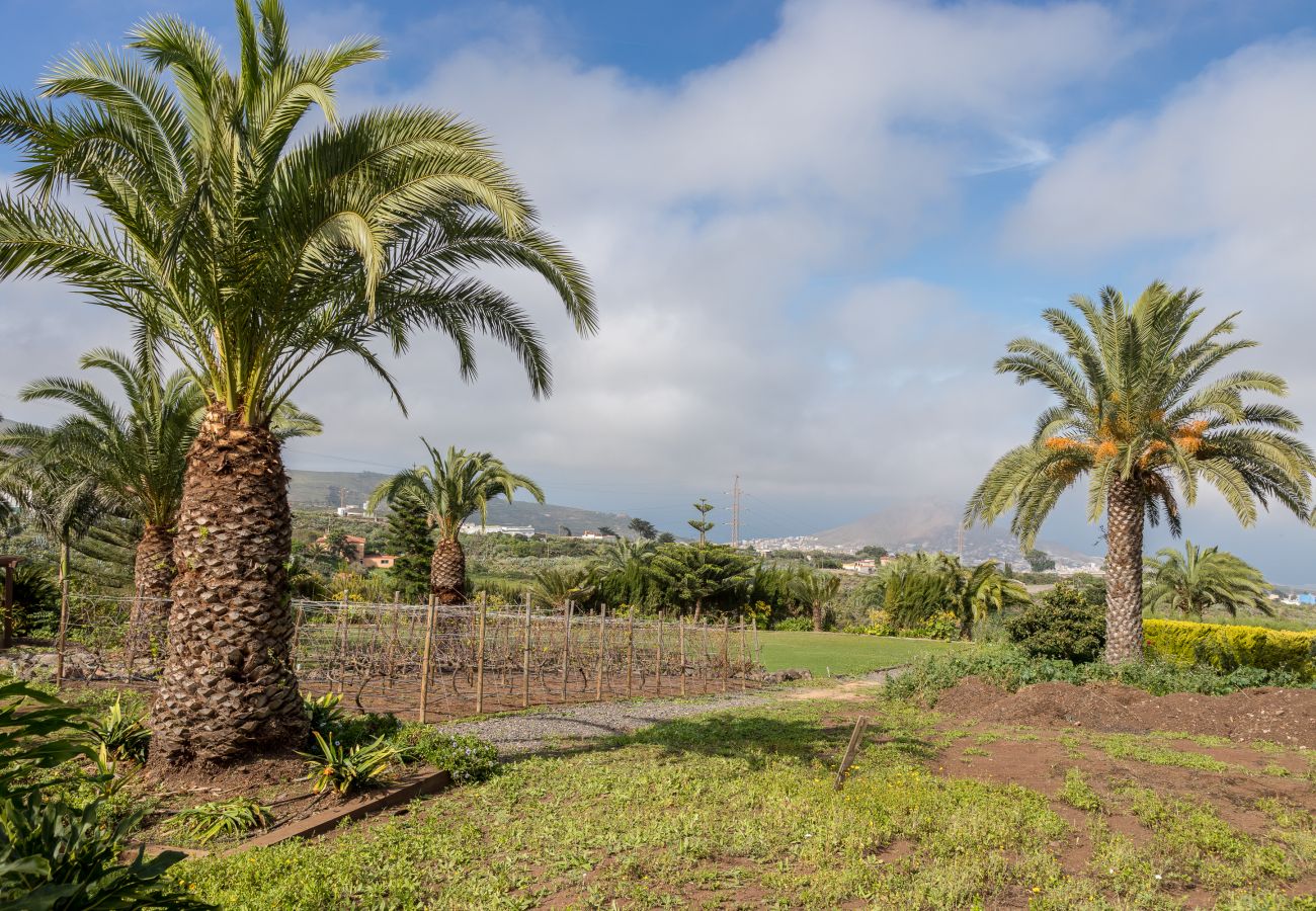 Cottage in Santa María de Guía - Los Paredones Farm - Private Pool - Garden Cottage in Santa María de Guía - Los Paredones Farm - Private Pool - Garden