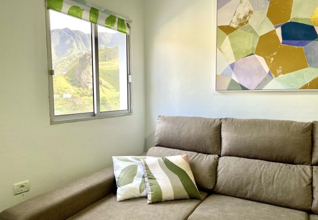 House in Hermigua - Ca' Yaya - Big House w/Terraces + Rooftop & Views House in Hermigua - Ca' Yaya - Big House w/Terraces + Rooftop & Views