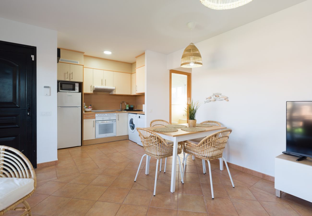 Apartment in La Oliva - Private Terrace Majanicho Home -Garden & Pool Apartment in La Oliva - Private Terrace Majanicho Home -Garden & Pool