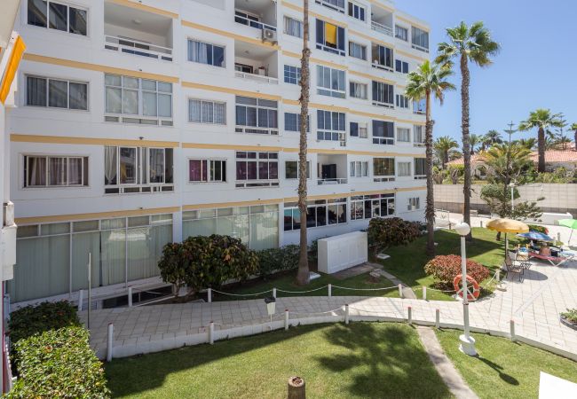 Apartment in San Bartolomé de Tirajana - Complejo Aloe - Pool - close to Maspalomas Beach Apartment in San Bartolomé de Tirajana - Complejo Aloe - Pool - close to Maspalomas Beach
