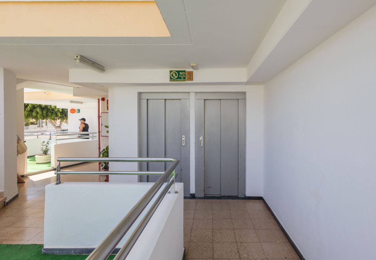Apartment in San Bartolomé de Tirajana - Complejo Aloe - Pool - close to Maspalomas Beach Apartment in San Bartolomé de Tirajana - Complejo Aloe - Pool - close to Maspalomas Beach