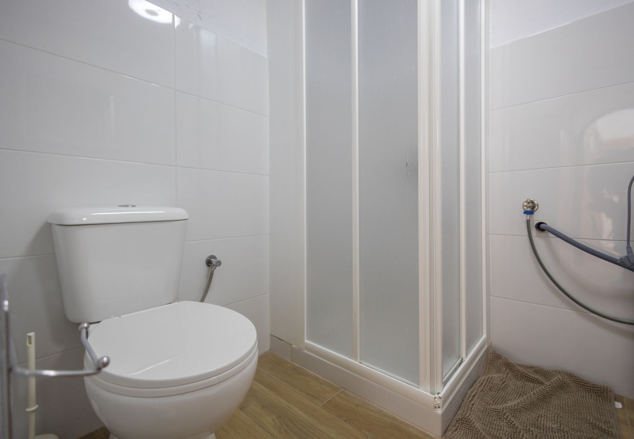 Cottage in Agaete - Agaete Botanic - Rooftop Solarium Cottage in Agaete - Agaete Botanic - Rooftop Solarium