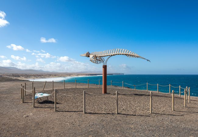 Apartment in El Cotillo - 2BR El Cotillo House - Private Terrace Apartment in El Cotillo - 2BR El Cotillo House - Private Terrace