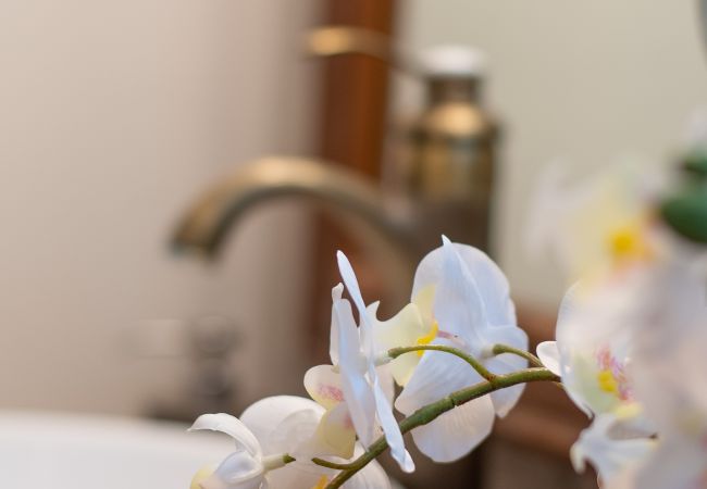 House in Santa María de Guía - 6BR Fire House Sanctuary-Terrace & Barbacue House in Santa María de Guía - 6BR Fire House Sanctuary-Terrace & Barbacue