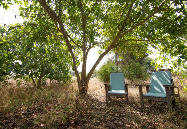 House in Santa María de Guía - 6BR Fire House Sanctuary-Terrace & Barbacue House in Santa María de Guía - 6BR Fire House Sanctuary-Terrace & Barbacue