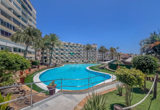 Apartment in Playa del Ingles - KOKA Central Flat Playa Inglés-Pool & Views Apartment in Playa del Ingles - KOKA Central Flat Playa Inglés-Pool & Views