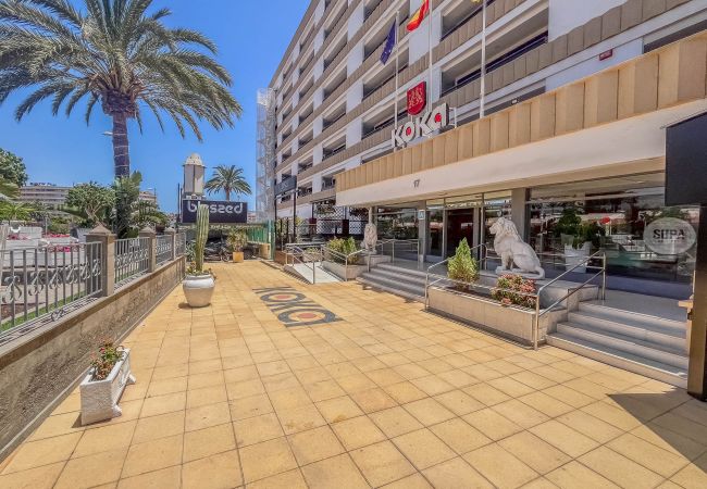 Apartment in Playa del Ingles - KOKA Central Flat Playa Inglés-Pool & Views Apartment in Playa del Ingles - KOKA Central Flat Playa Inglés-Pool & Views