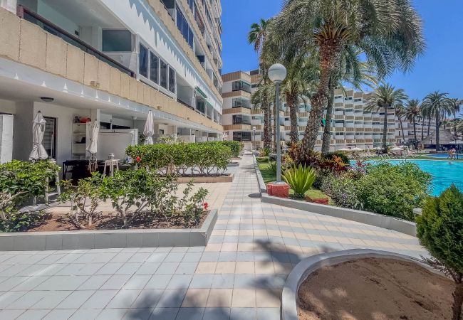 Apartment in Playa del Ingles - KOKA Central Flat Playa Inglés-Pool & Views Apartment in Playa del Ingles - KOKA Central Flat Playa Inglés-Pool & Views