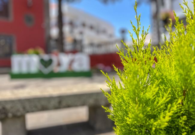 Apartment in Moya - 3 Suites Simón Millán - Heart of Moya